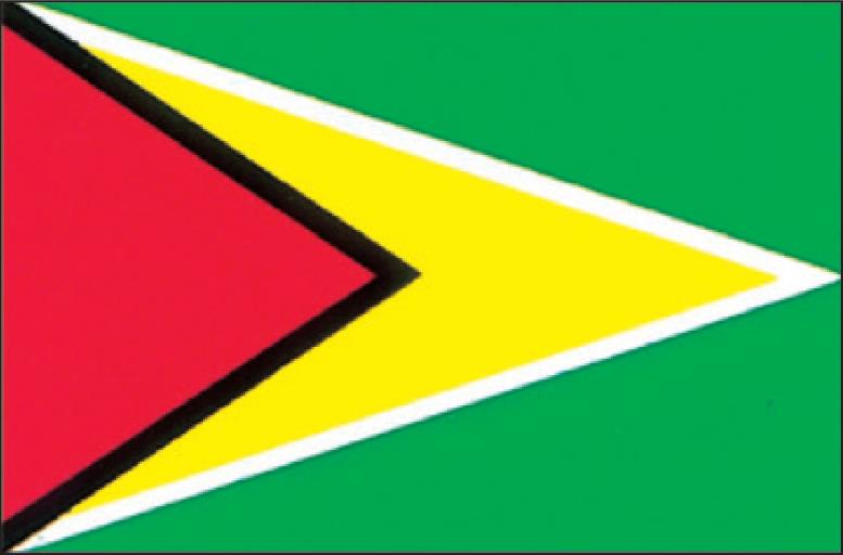 KCAi